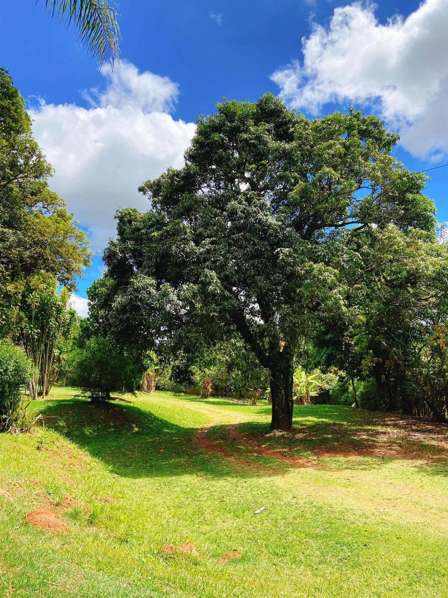 Sitio Pand'Oro Villa อาทิบายา ภายนอก รูปภาพ